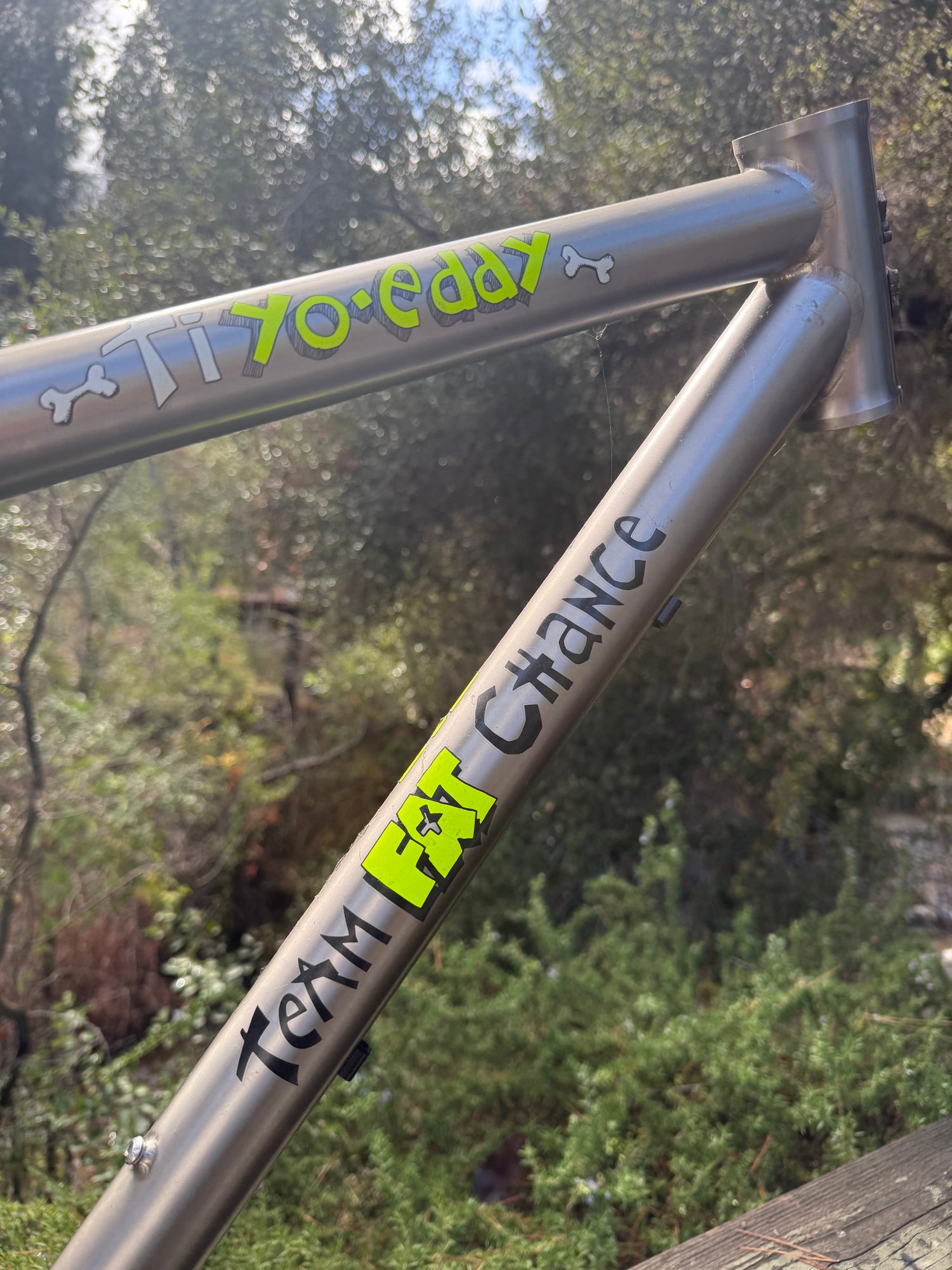 Titanium Fat Chance Yo Eddy Frame Size Large with White Industries Cranks installed