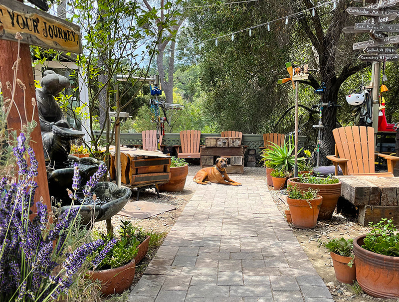 Topanga Creek Outpost's front yard entrance filled with plants and flowers. Rover the shop dog sits at the end of the walk path.