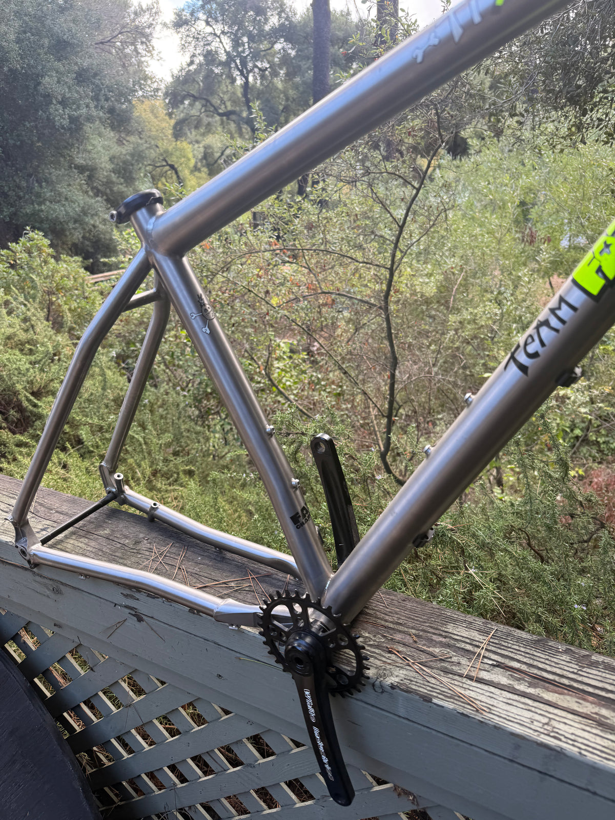 Titanium Fat Chance Yo Eddy Frame Size Large with White Industries Cranks installed
